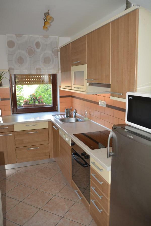 מוסט נה סוסי Apartma Zala מראה חיצוני תמונה