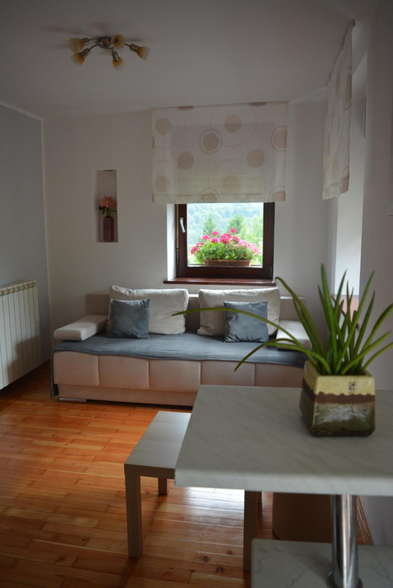 מוסט נה סוסי Apartma Zala מראה חיצוני תמונה